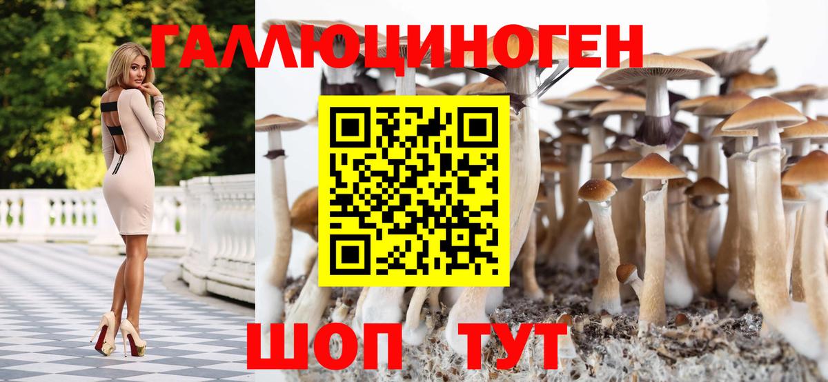 Псилоцибиновые грибы мицелий  Кемерово 