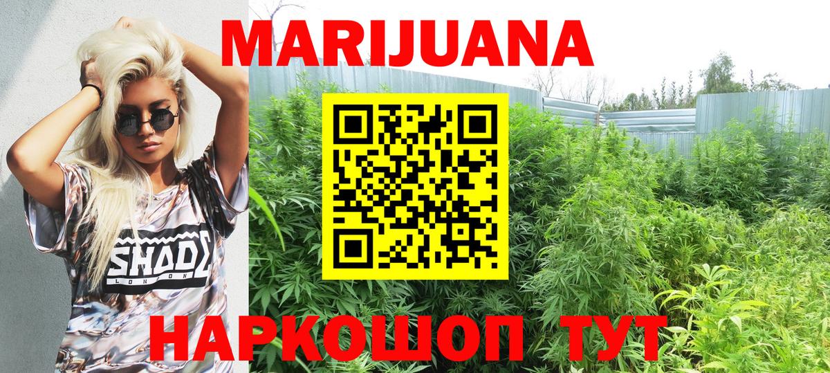 Конопля конопля  Вход с VPN  Кемерово  Бошки марихуана SATIVA & INDICA 